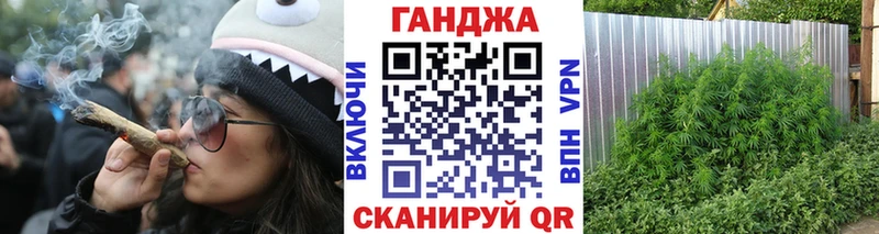 как найти закладки  Ленск  Каннабис сатива 